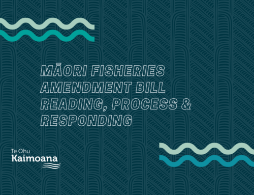 Update on the Māori Fisheries Amendment Bill