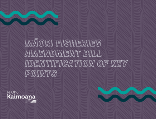 Māori Fisheries Amendment Bill – Identification of Key Points