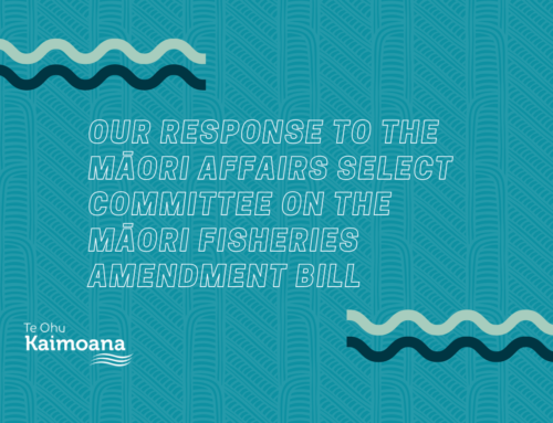 Our response to the Māori Affairs Select Committee on the Māori Fisheries Amendment Bill