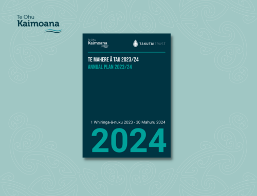 Te Ohu Kaimoana Annual Plan 2024
