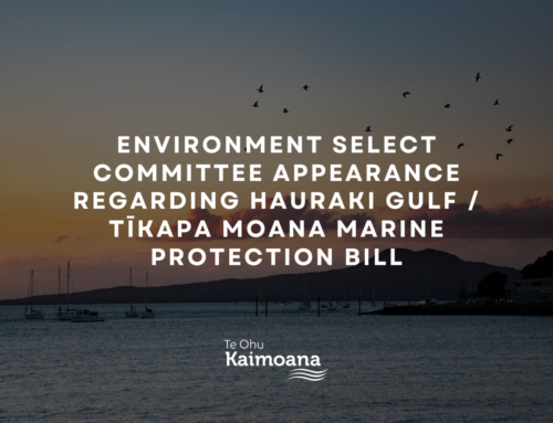 Environment Select Committee appearance regarding Hauraki Gulf / Tīkapa Moana Marine Protection Bill