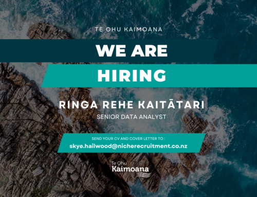 Vacancy – Ringa Rehe Kaitātari | Senior Data Analyst