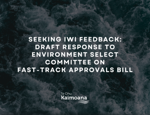 Seeking iwi feedback – draft response to the Environment Select Committee on the Fast-track Approvals Bill