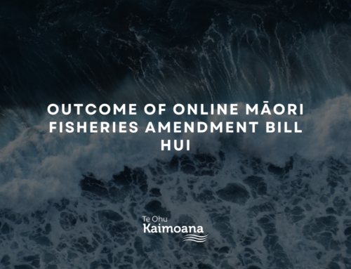 Outcome of online Māori Fisheries Amendment Bill hui